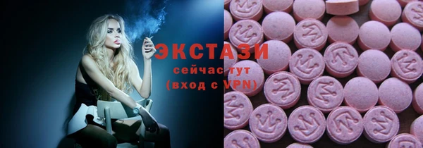 мдпв Новозыбков