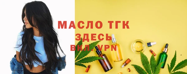 мдпв Новозыбков