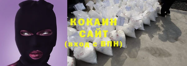 мдпв Новозыбков