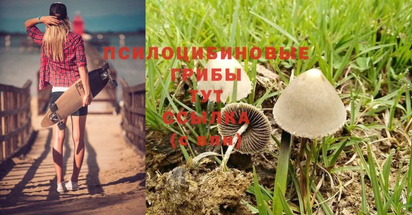 мдпв Новозыбков
