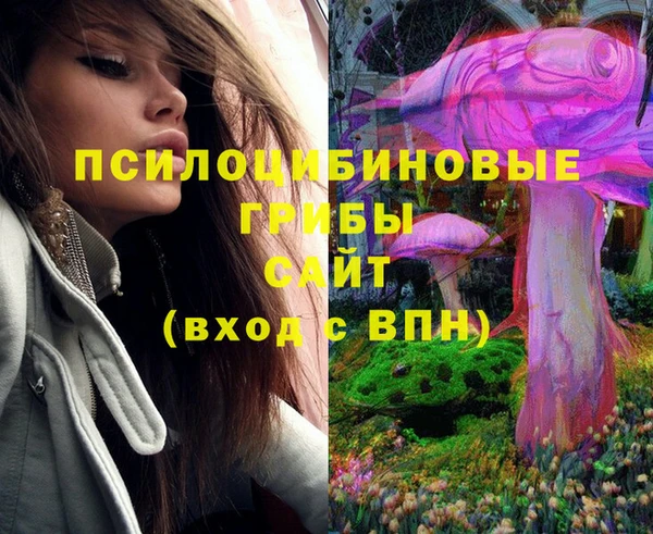 Альфа ПВП Новодвинск